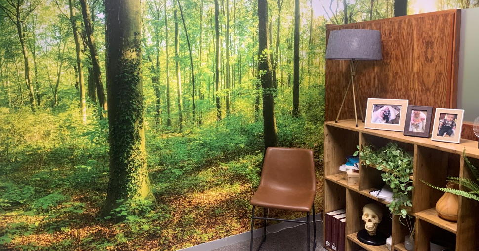 South African sign and display business SignMax used Drytac ReTac Smooth 75 to create a series of nature-inspired interior wall graphics for a local neurosurgeon.