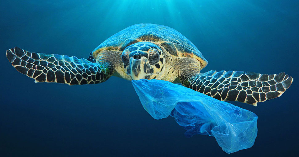 Perfect Colours has launched new website to promote the use of eco-conscious HP Recycled Satin Canvas made from discarded water bottles retrieved from the sea.